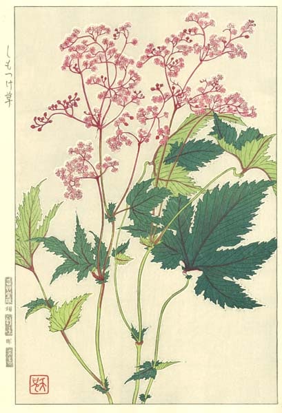 木版画のことなら『木版画 版元 芸艸堂 Woodblock print』