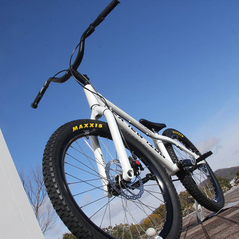 EXTENTION - Heimdall | 完成車,Street 24 | GOLDRUSH AJITO