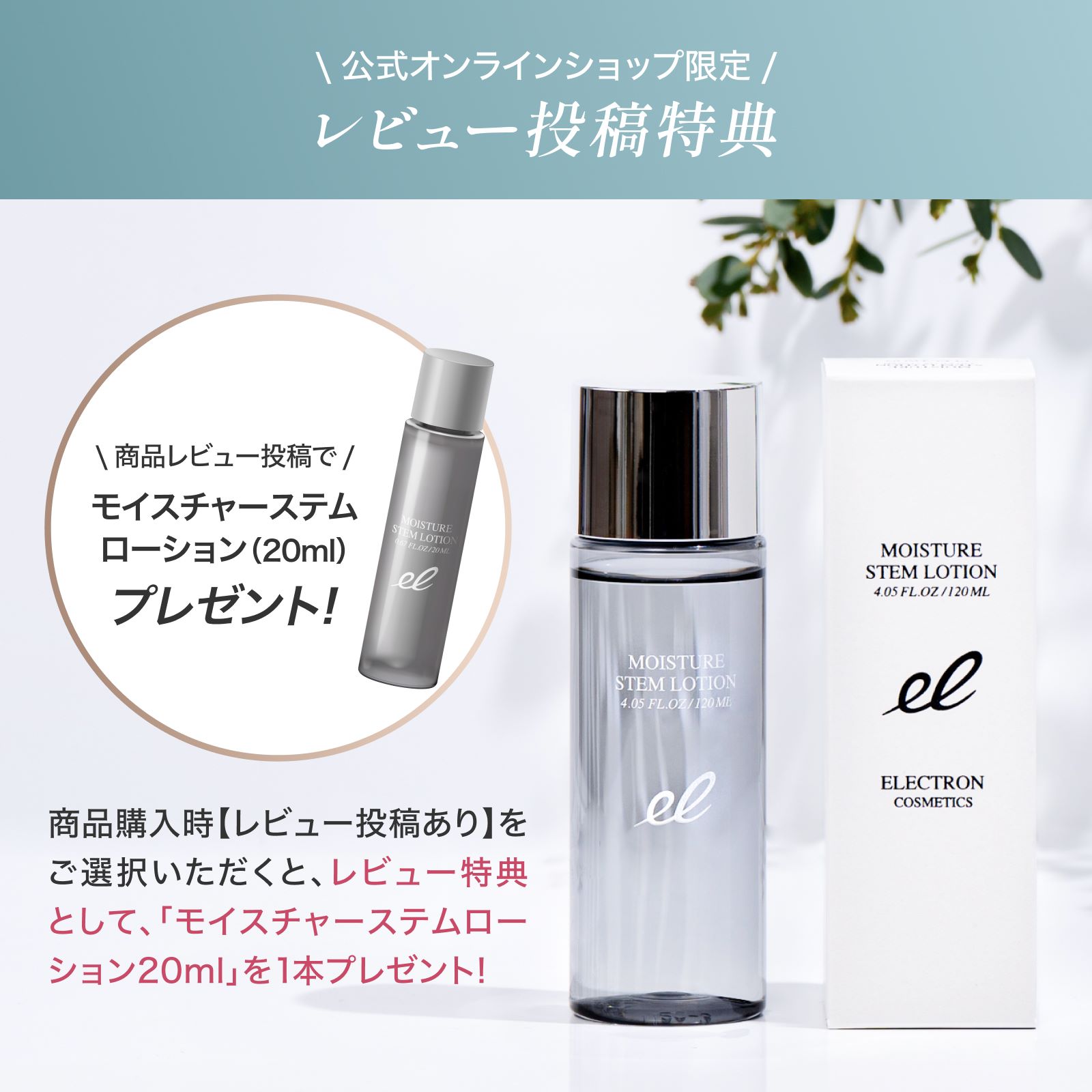 デンキバリブラシ(R) 2.0【単体モデル】 | ELECTRON ONLINE SHOP