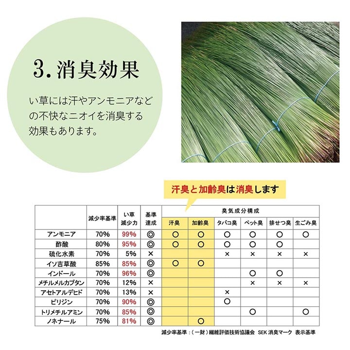 20日間返品無料】国産い草ラグ DX沖縄ビーグ ｜イケヒコ公式通販