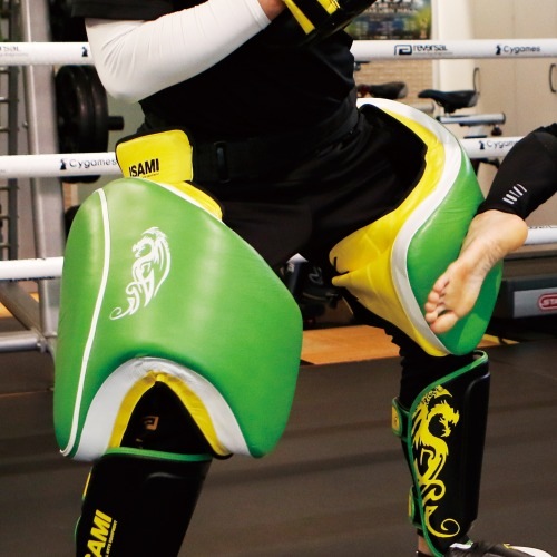 ローキックプロテクター ストロング | すべての商品 | ISAMI(イサミ