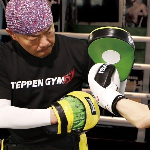 パンチングミットNS | すべての商品 | ISAMI(イサミ) |格闘技 武道具