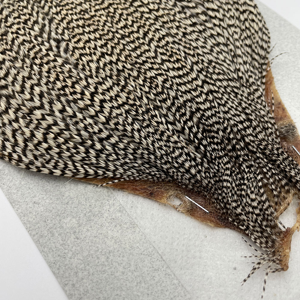 KEOUGH ハックルケープ ＃2 グリズリー（No.6)