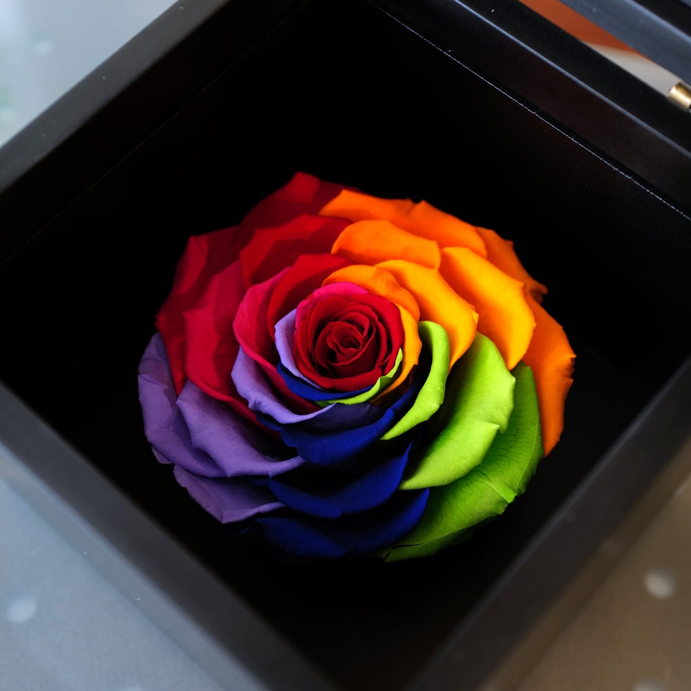 レインボーローズ1輪 プリザーブドフラワー BLACK CUBE BOX