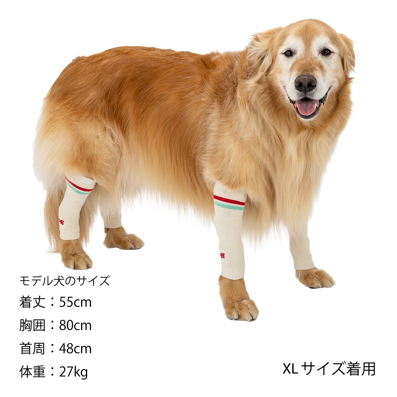 LEG WARMER | ACCESSARY | 犬服 MANDARINE BROTHERS マンダリン