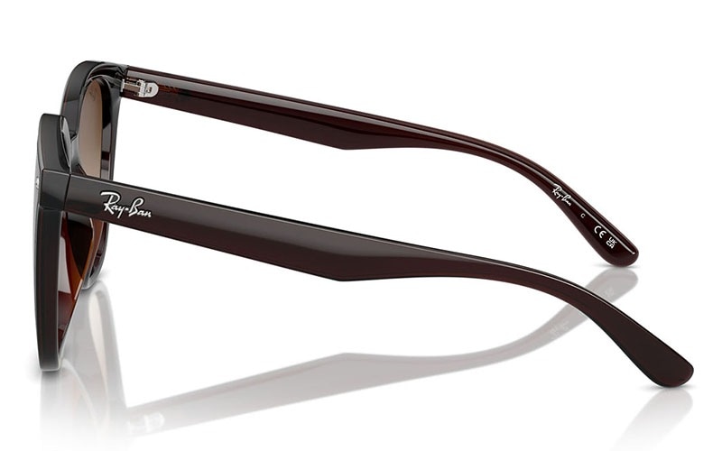 RB4423D 714/13 66 Ray-Ban レイバン サングラス アジアンデザイン