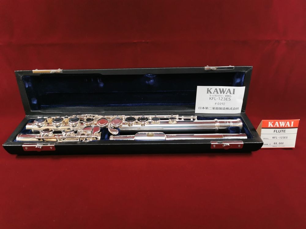 KAWAI クラリネット ECL-85 河合楽器製作所 リード メトロノーム 中古
