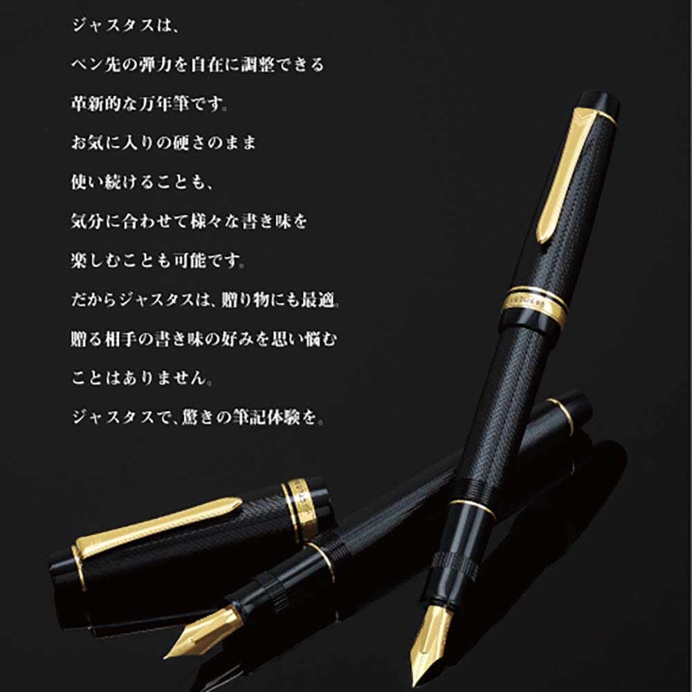 パイロット PILOT 万年筆 ジャスタス95 ネットブラック 細字 FJ-3MR-NB