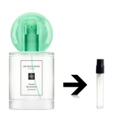 ウード＆ベルガモット コロンインテンス Jo Malone ジョーマローン