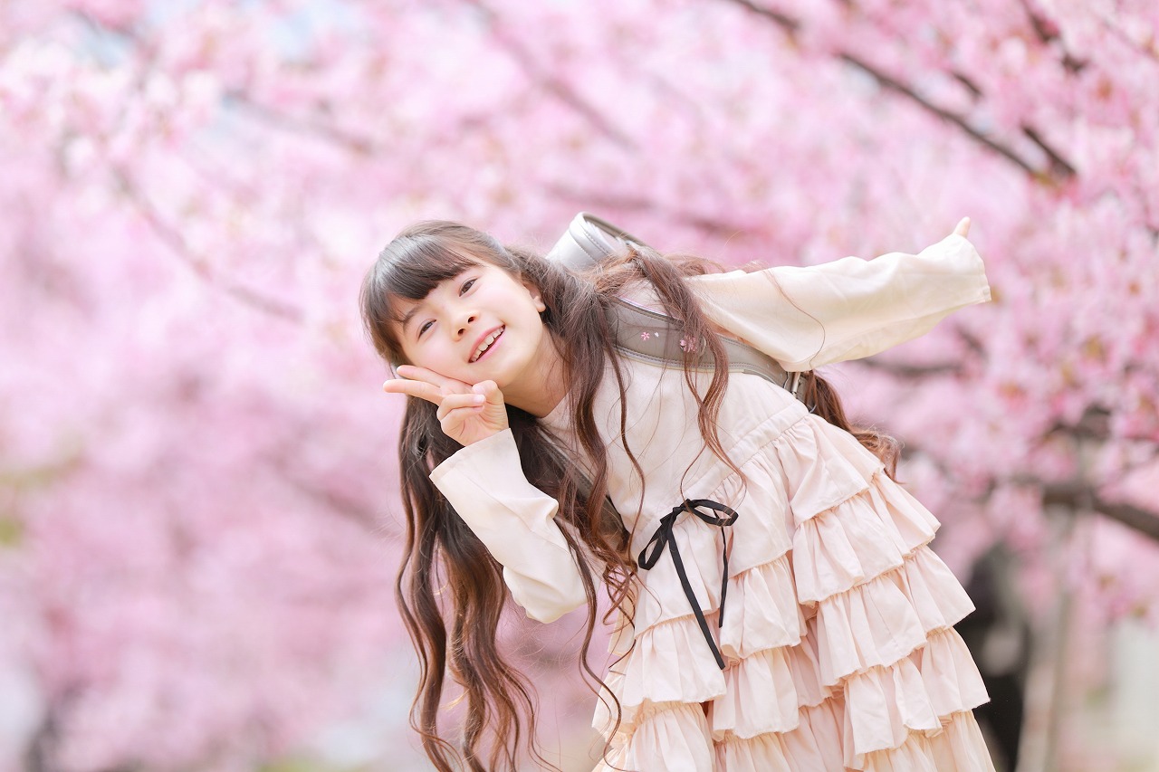 スリジエ 桜 