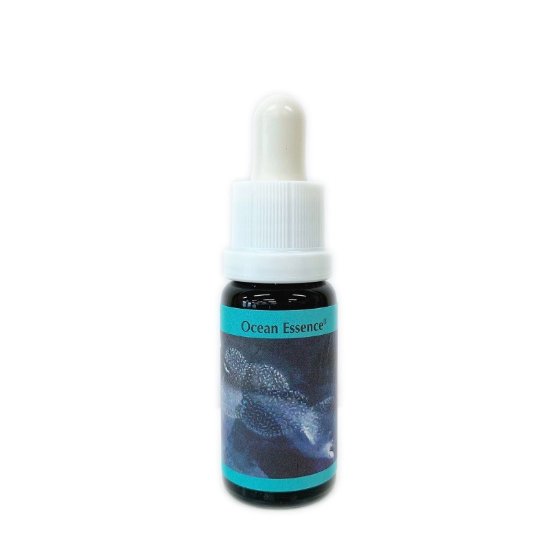 オーシャンエッセンス No6《コルテPHIエッセンス》15ml｜フラワー