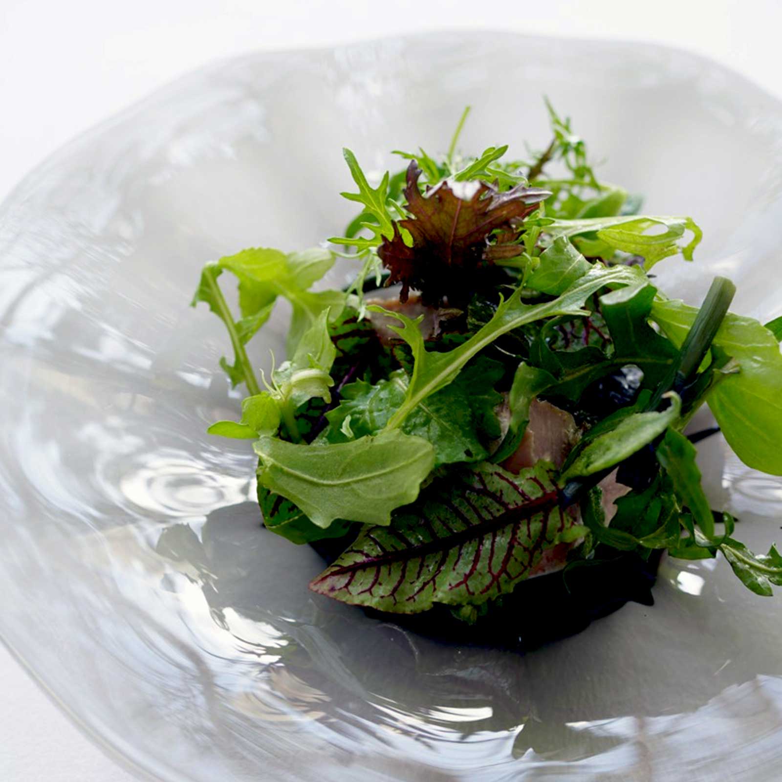 フラッタ：プレート (21cm) | | Sghr