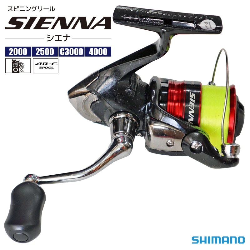 シマノ スピニングリール 19 シエナ SIENNA 釣り SHIMANO フィッシング