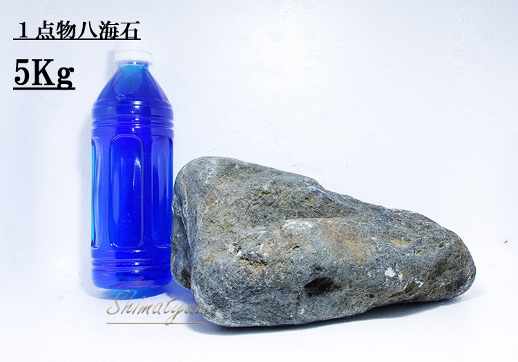 限定販売!! 一点物 八海石 5kg No.03 | 素材・流木・石,石 | AQUA-F