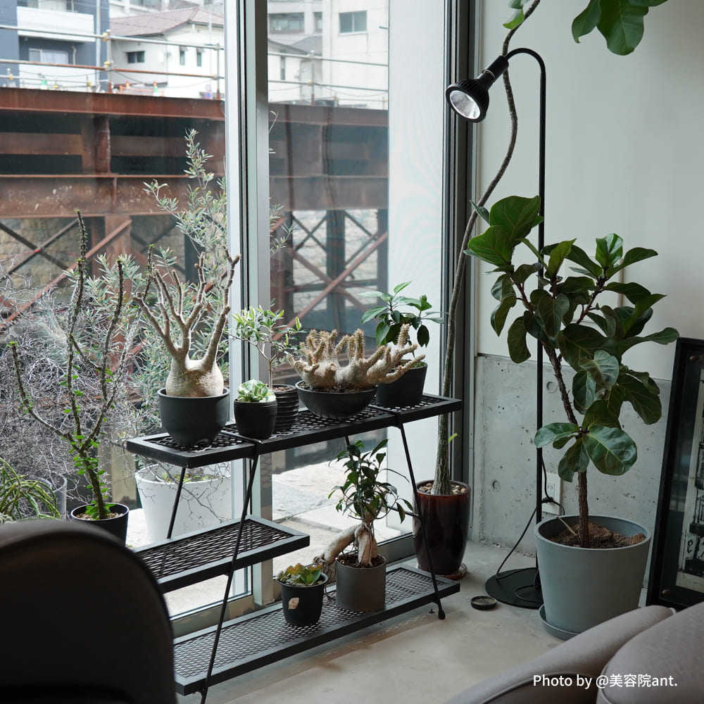 植物育成ライト専門店BARREL｜【フレキシブルアームライトスタンド