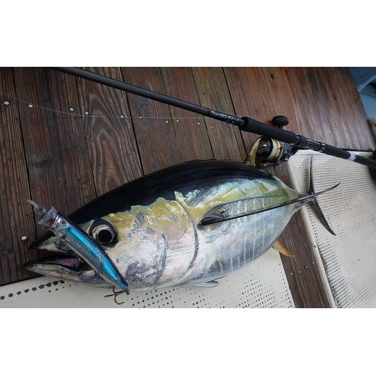 BIG TUNA 85F JAPAN special オフショアロッド BIG TUNA 85F JAPAN