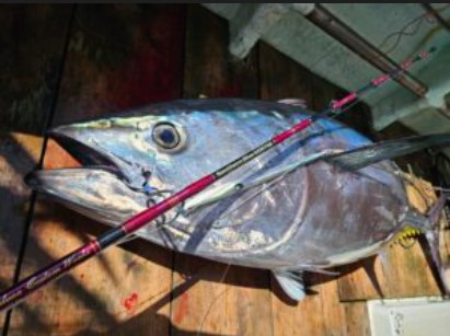 MC works'/サウザンブルー SOUTHERN BLUE 608TSG（ALL NEW） | ロッド