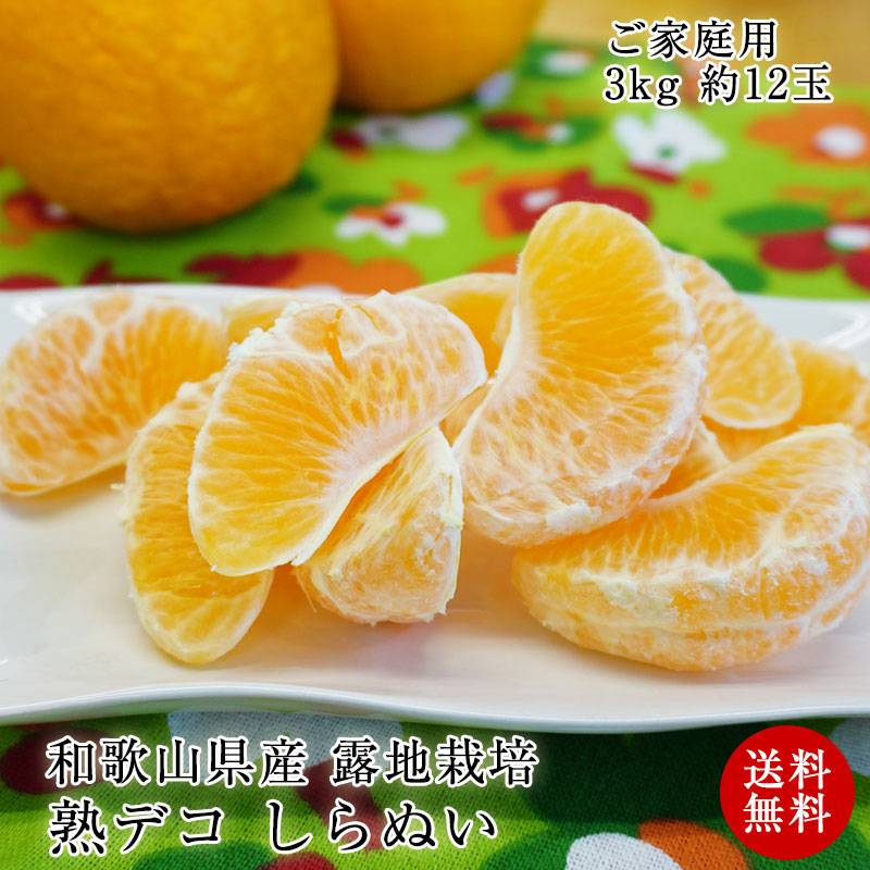 B級品　リゴティオーボエ用丸材　10.5-11.00 1Kg B級品 リゴティオーボエ用丸材 10.5-11.00 1Kg リゴティ丸材 10.5~11