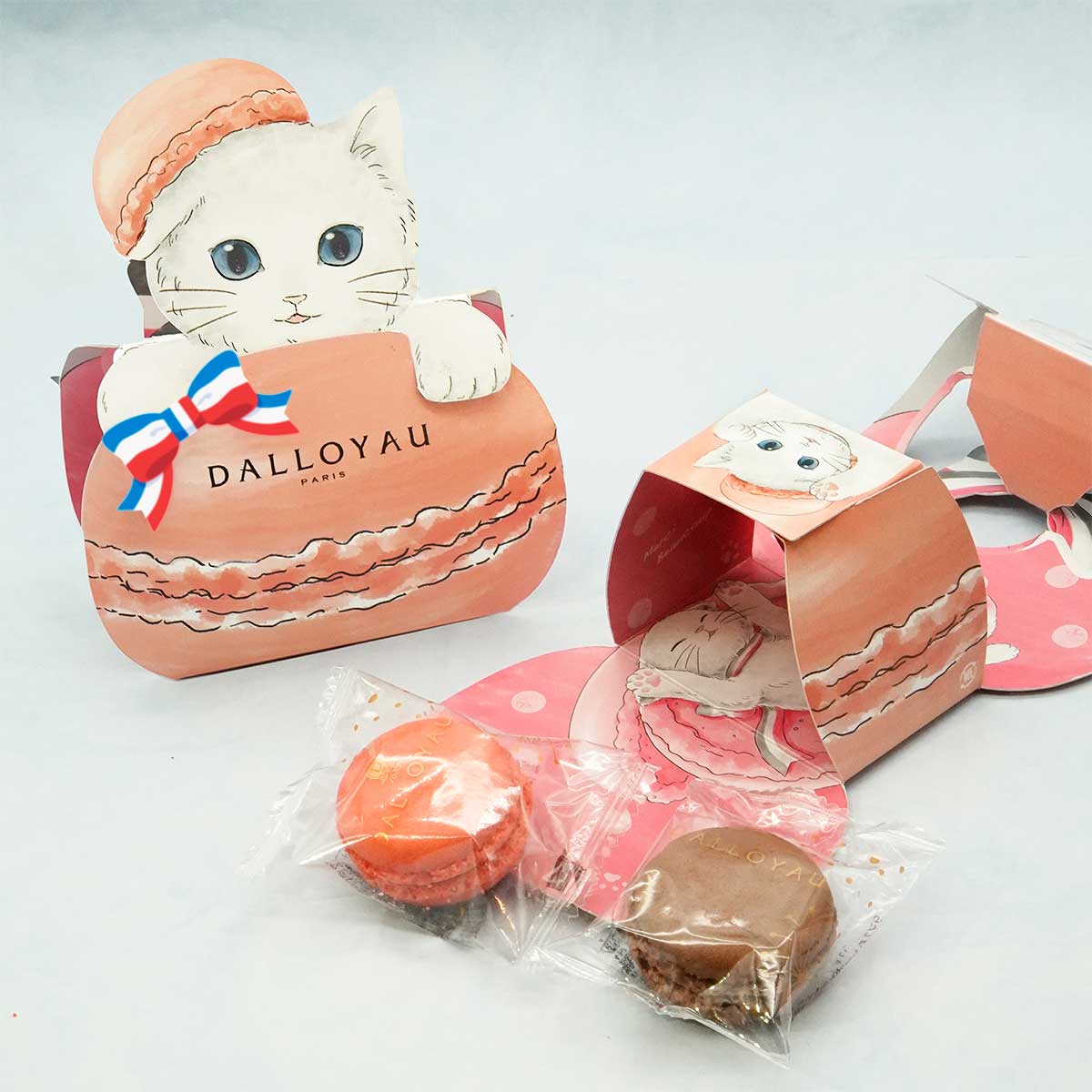 猫型ニャカロン ピンク | ジョセフィーニャ - ダロワイヨ公式