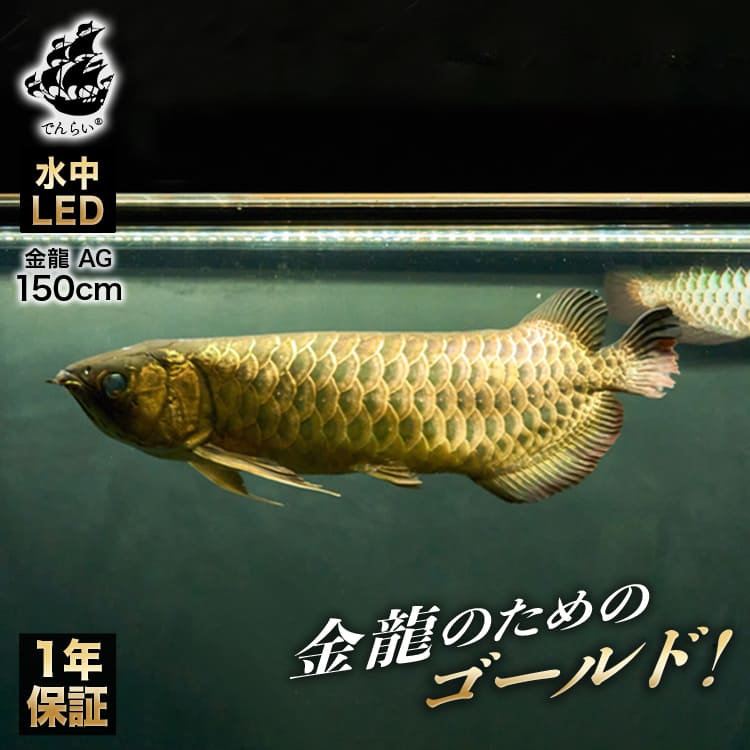 水槽 アロワナライト | おしゃれな照明専門店 でんらい公式