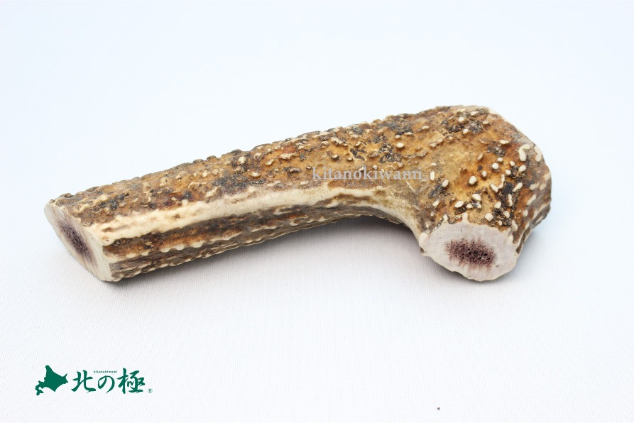 エゾシカ角 （髄・半割） Lサイズ