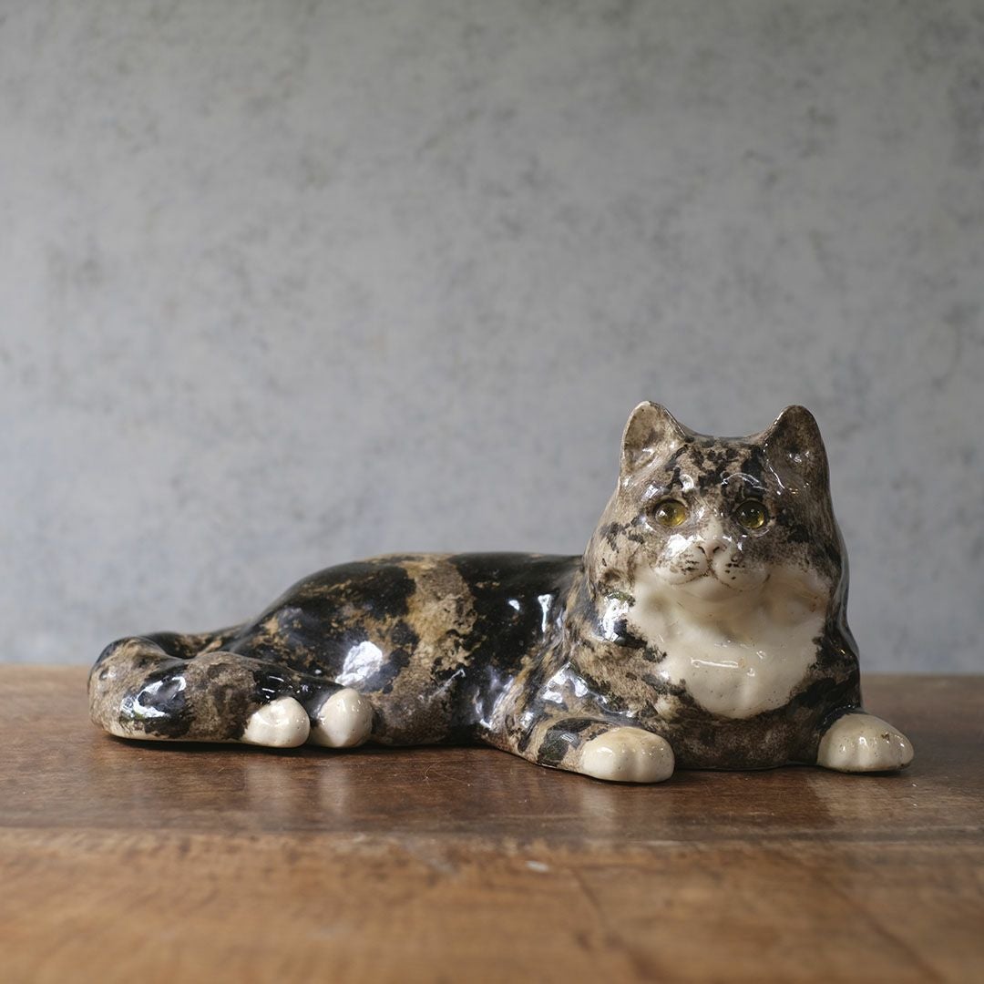 ウィンスタンレーキャット,ケンジントンキャットについて
