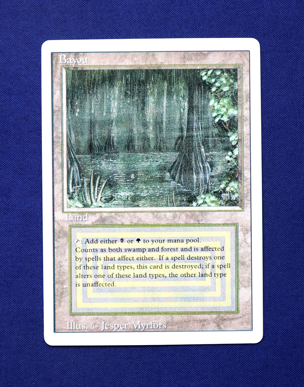 リバイズド Bayou 英語版 状態MP程度 mtg リバイズド Bayou 英語版