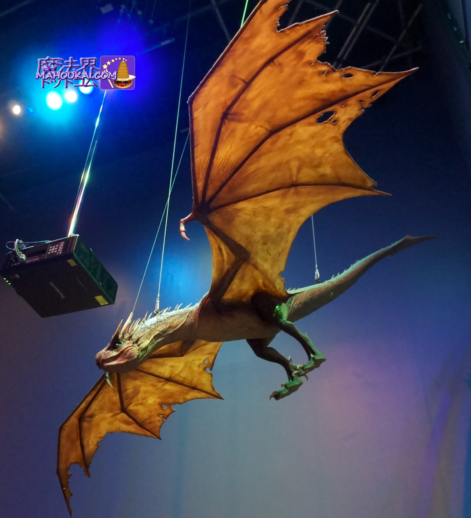 魔法動物 ドラゴン（Dragon）｜ハリー・ポッター