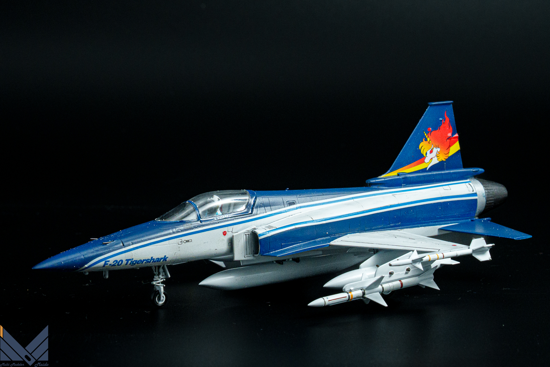 ハセガワ 1/72 F-20 タイガーシャーク エリア88 風間真 完成品 | 模型