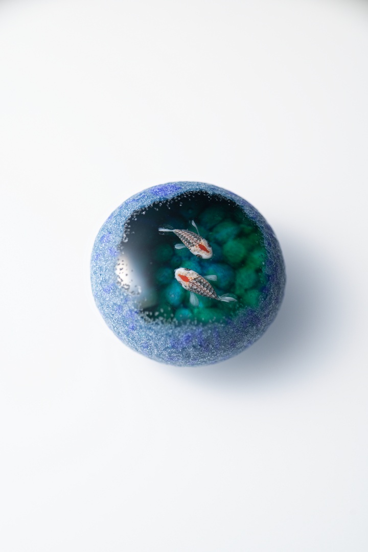 魚石類八種標本箱」Glass2H | 彩元堂：増永元 official site