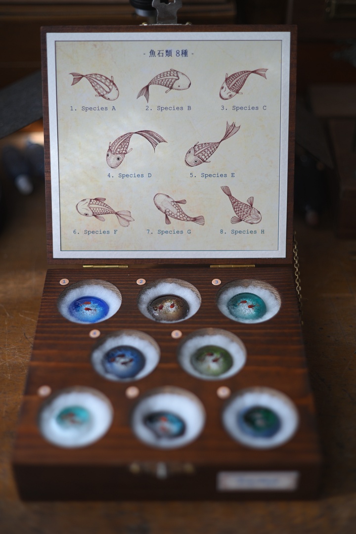 魚石類八種標本箱」Glass2H | 彩元堂：増永元 official site