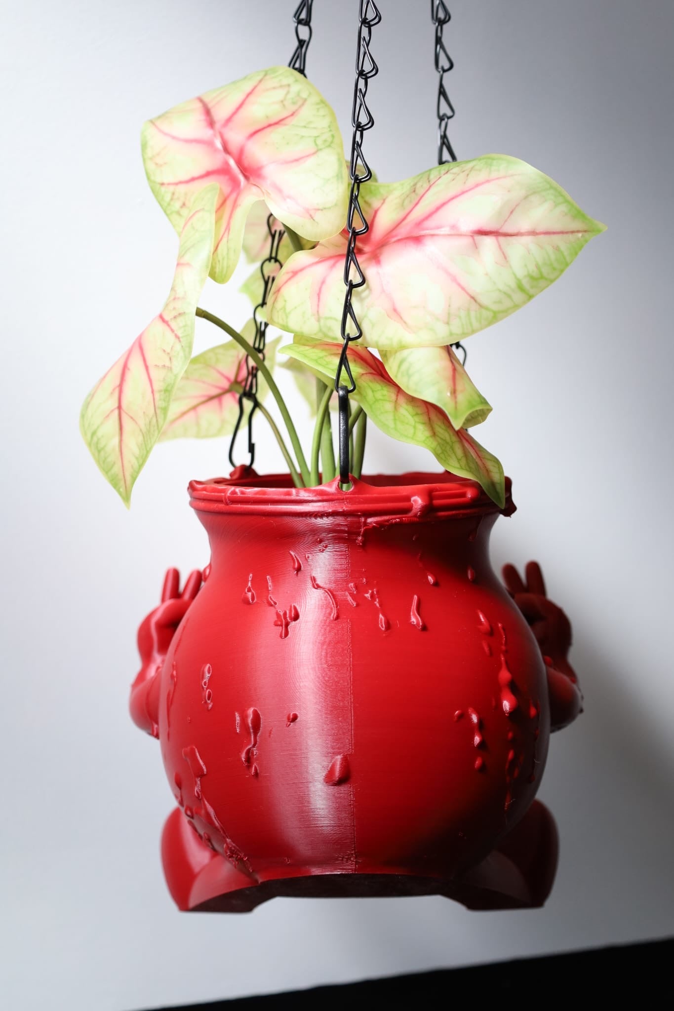 Kool-Aid Hanging Planter – Mayhem Made