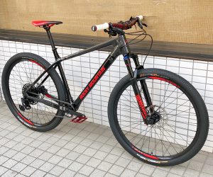 こんなんいかがでしょ？2019 Rocky Mountain Vertex Carbon50 | 1989年