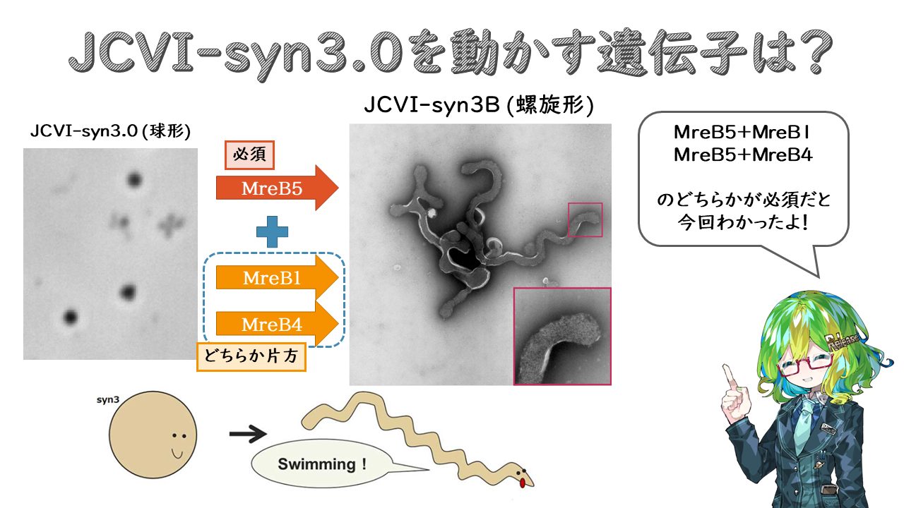 生物はなぜ動くのか？最小の 