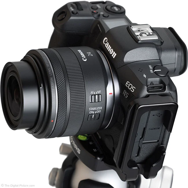 Canon RF 24mm F1.8 Macro IS STM Lens Review