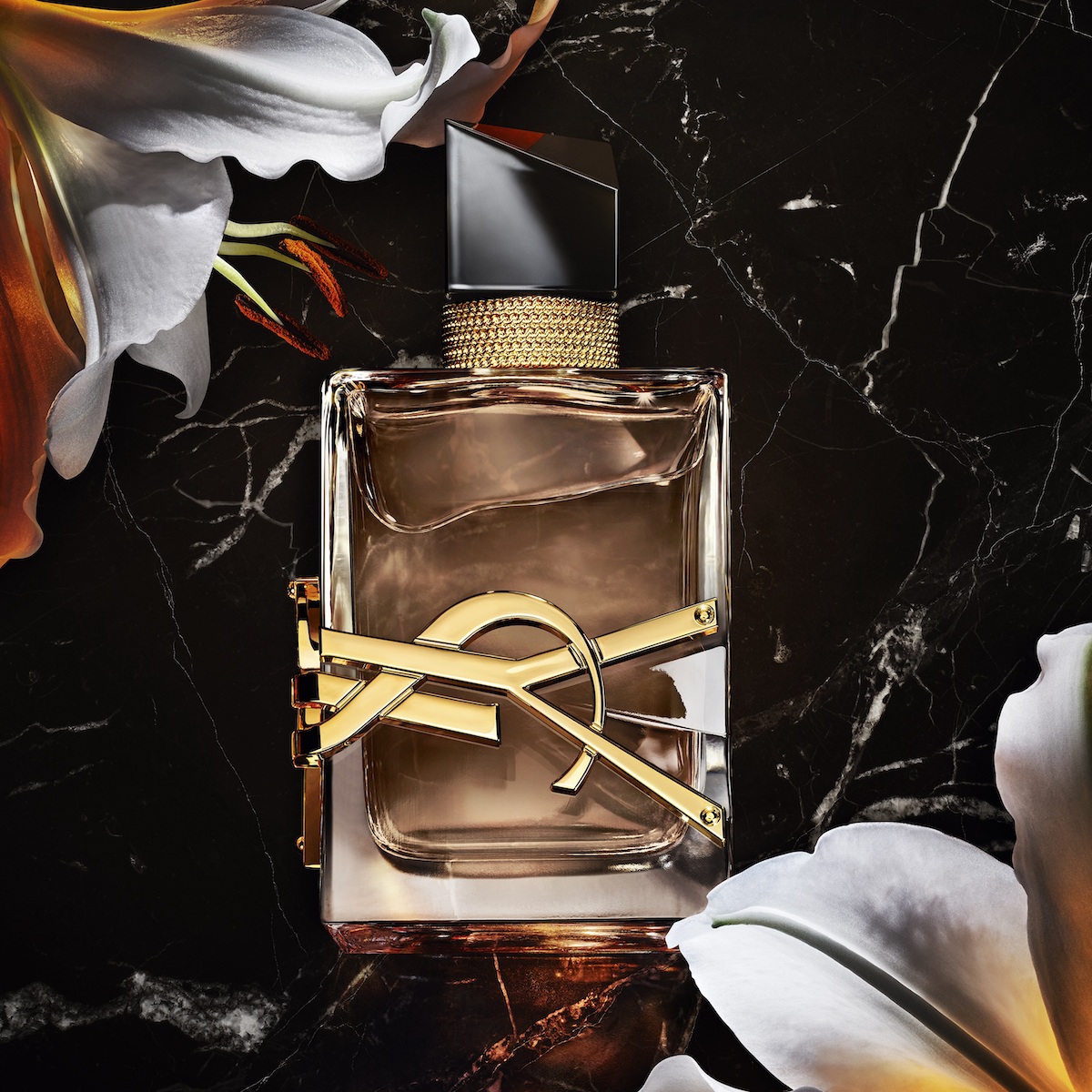 YSL」のフレグランス“リブレ”にスパイシーフローラルの新作 - WWDJAPAN
