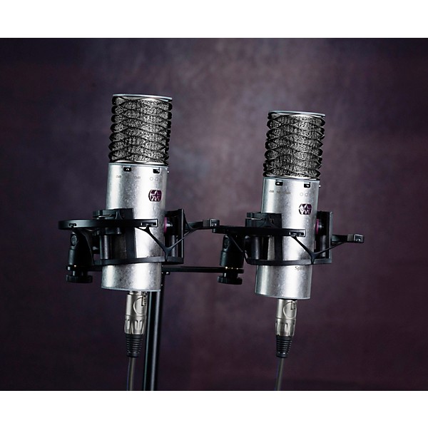 Aston Microphones SPIRIT STEREO PAIR - 2 High-performance