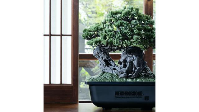 大人の趣味に｢盆栽プラモ｣はいかが？ おもちゃメーカーとアパレル