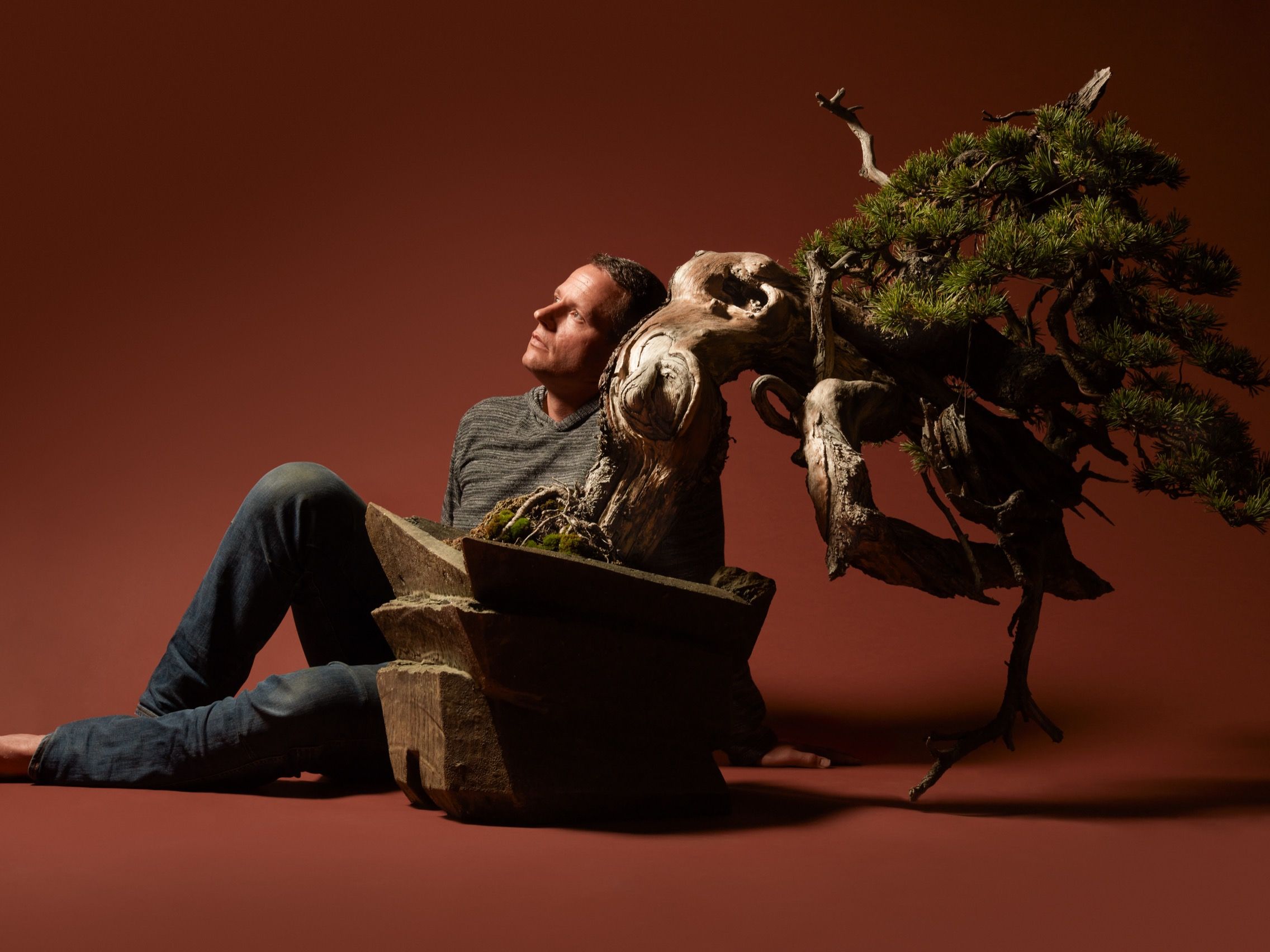 The Beautiful, Brutal World of Bonsai | The New Yorker