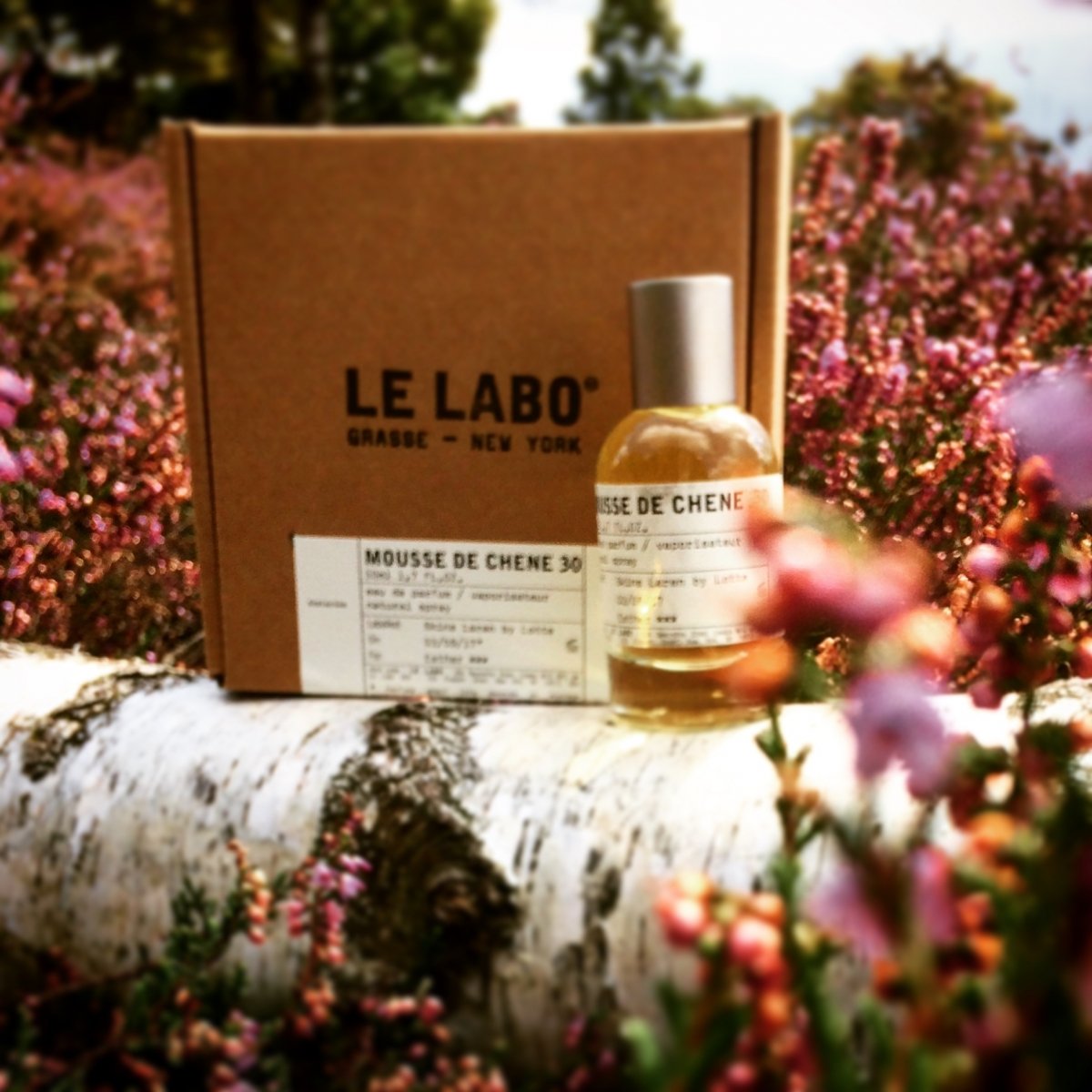 Mousse de Chêne 30 by Le Labo » Reviews & Perfume Facts