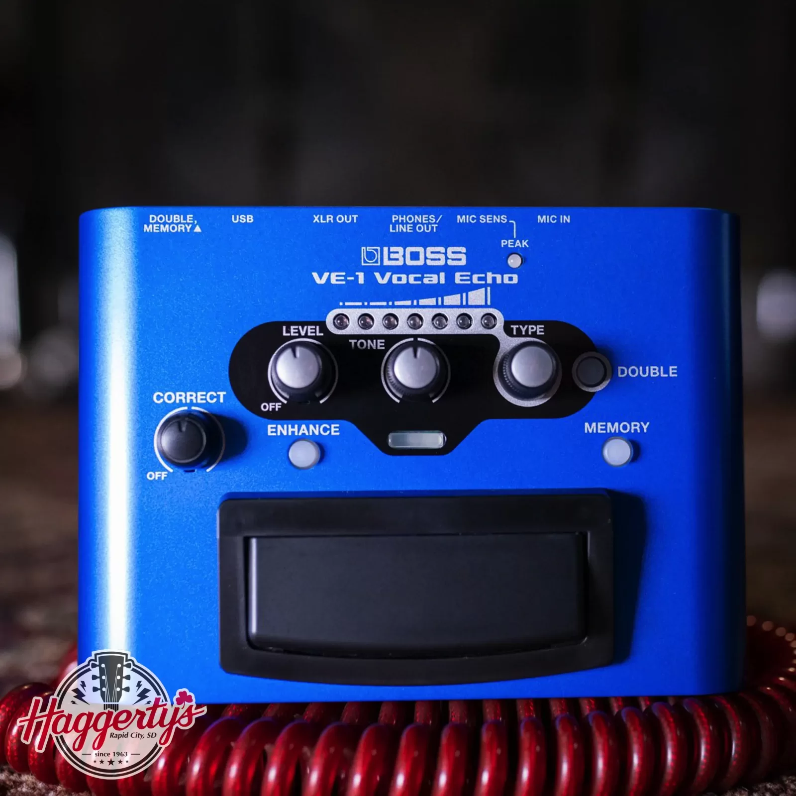 Boss VE-1 Vocal Echo Pedal - 761294506882