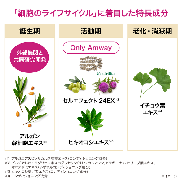 ロンジェビティ クリーム) ：Amway(日本アムウェイ) | amwaylive