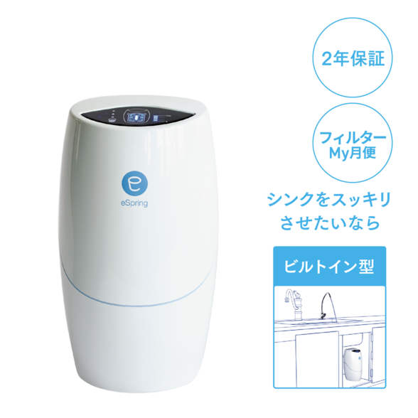 アムウェイeSpring浄水器フィルター　活性炭　新品未使用　旧　amway