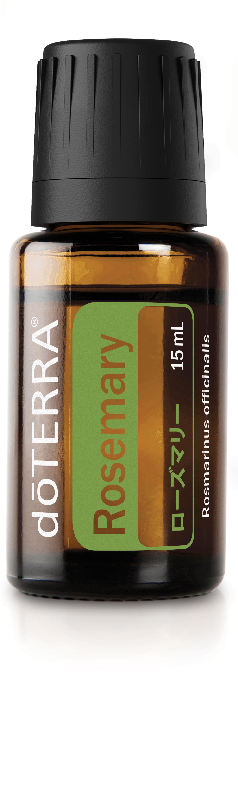 ローズマリー | doTERRA エッセンシャルオイル | doTERRA Essential Oils