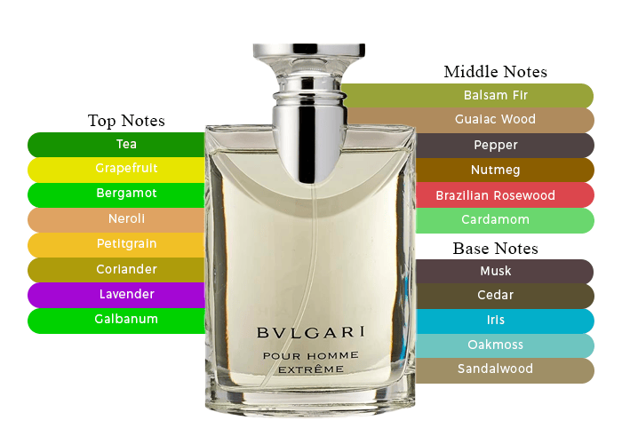 Stand Out from the Crowd with Bvlgari Pour Homme Extreme