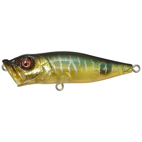 予約：3月末～4月末発送】POPX 赤虎 | Megabass - メガバス オンライン