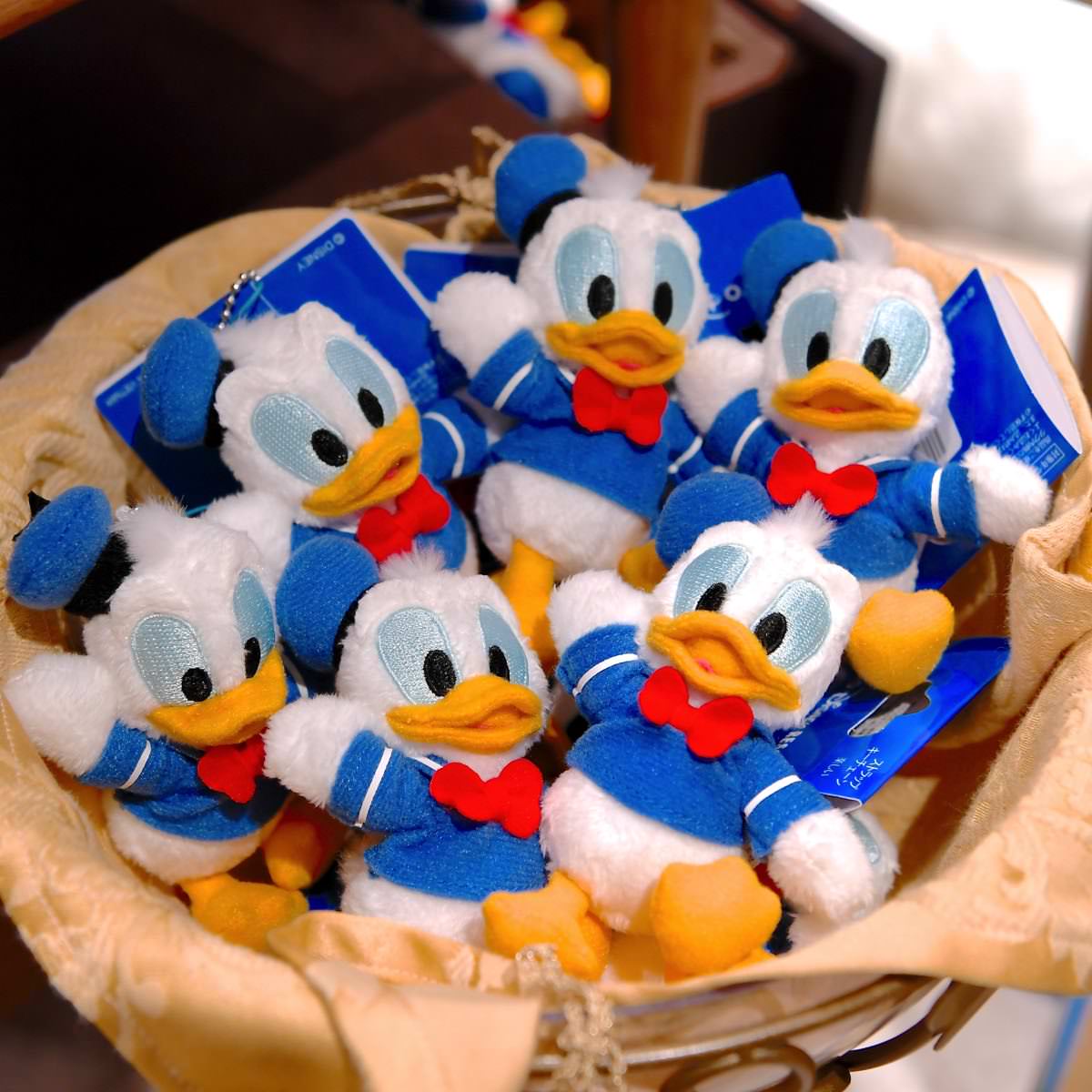 5種類の表情がかわいい☆東京ディズニーランド・ドナルドぬいぐるみ