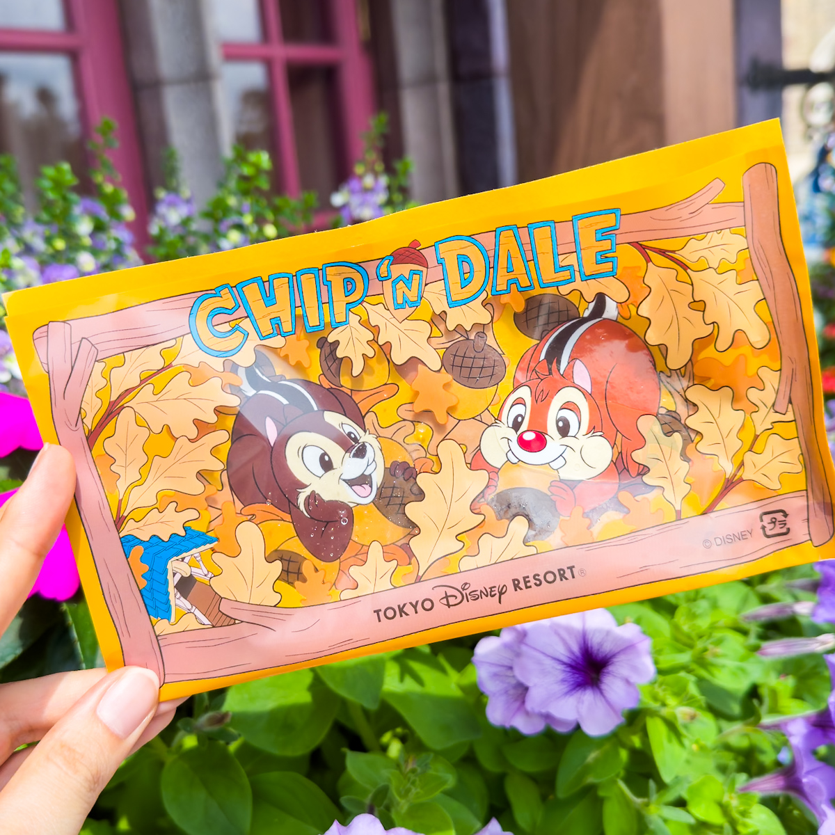 しっぽデザインがかわいい！東京ディズニーランド「ボイラールーム