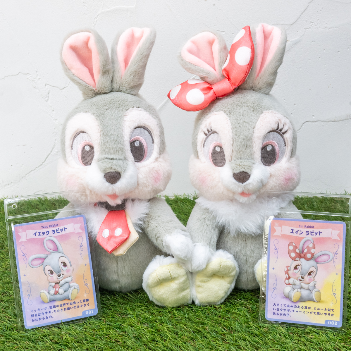 イエックラビット エインラビット ✨✨✨ 🐰💖✨🐰💖✨🐰💖✨
