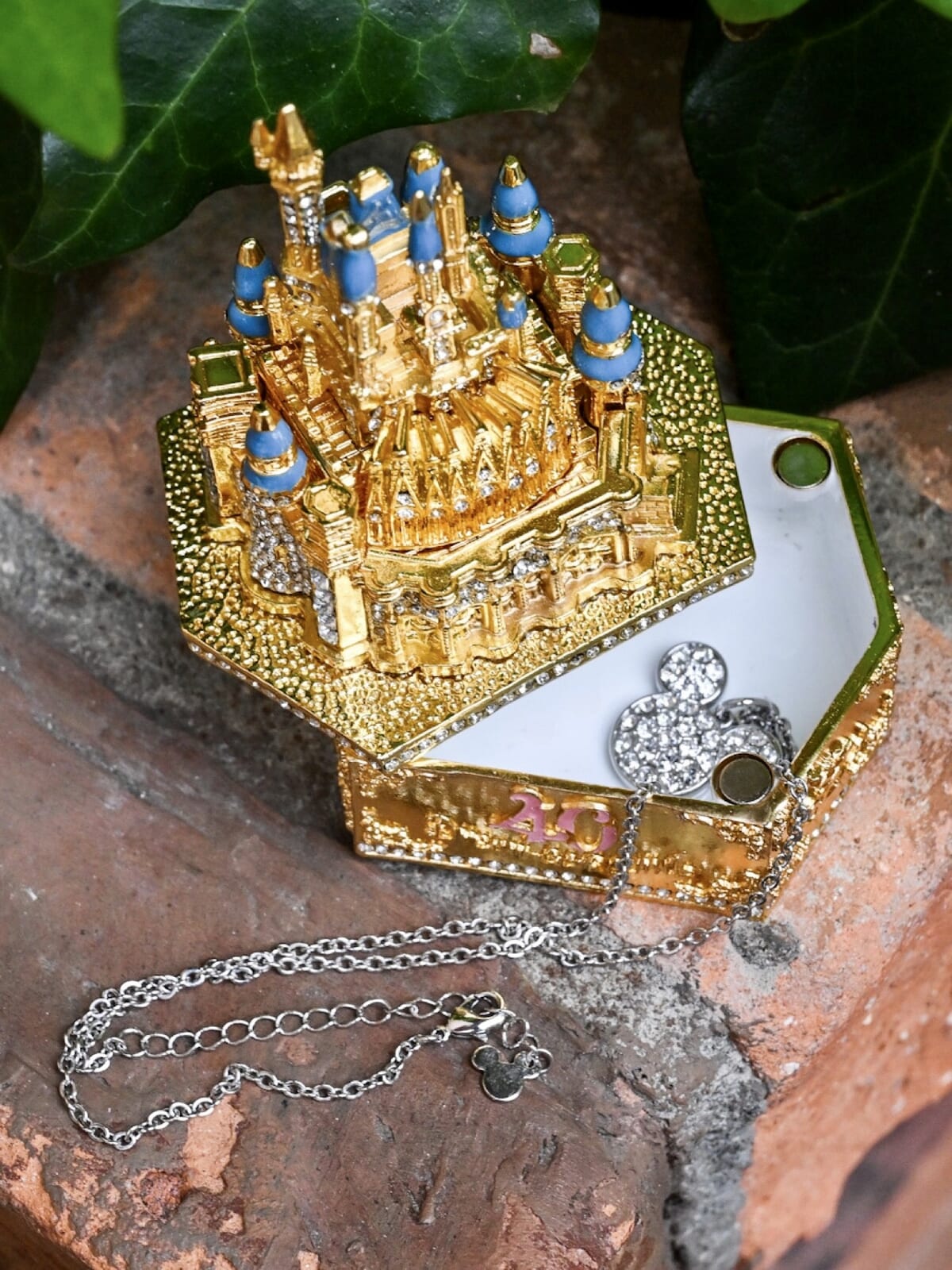 東京ディズニーランド40周年 シンデレラ城 アクセサリーケース 東京